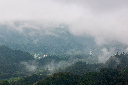 云雾坡山