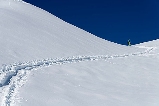 滑雪,登山,冬天,风景,瑞士,欧洲