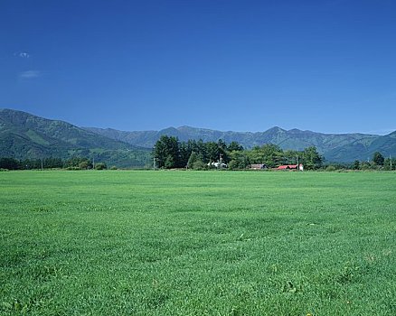 草场,山