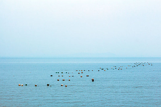 漂浮着塑胶泡沫的海面