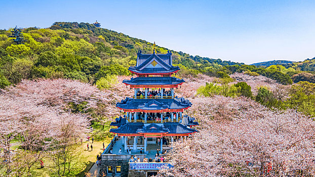 航拍江苏省无锡太湖鼋头渚赏樱楼,蠡湖渤公岛