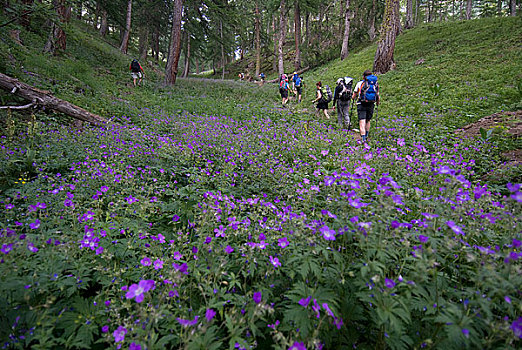 法国,阿尔卑斯山,长途旅行者