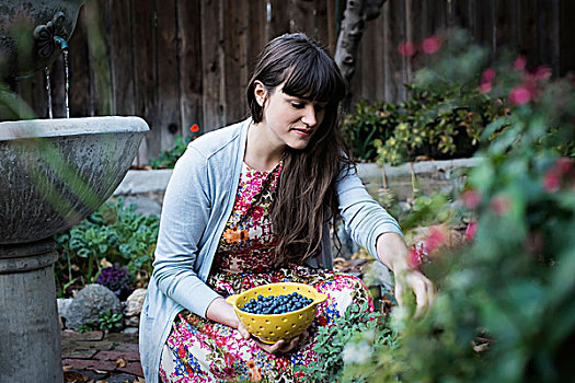 美女,挑选,蓝莓,植物,花园