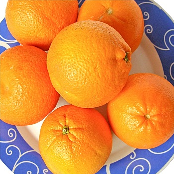 橘子,照相