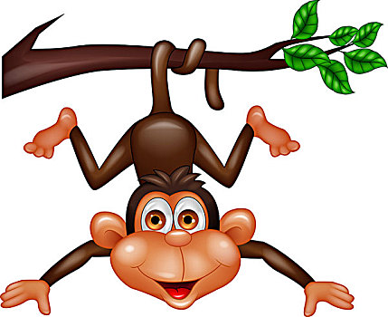 有趣,猴子,悬挂,树上,枝条