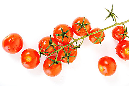 小,湿,新鲜,红色,西红柿,多,隔绝,白色背景