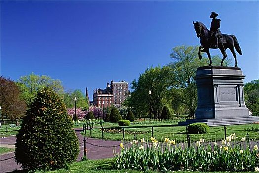 波士顿公共公园,波士顿,马萨诸塞,美国