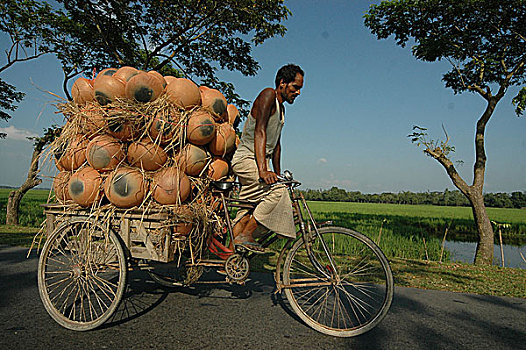人力车,陶器,市场,孟加拉,十月,2005年