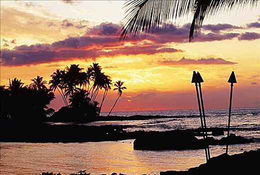 夏威夷,夏威夷大岛,柯哈拉,橙色,日落,棕榈树,火炬