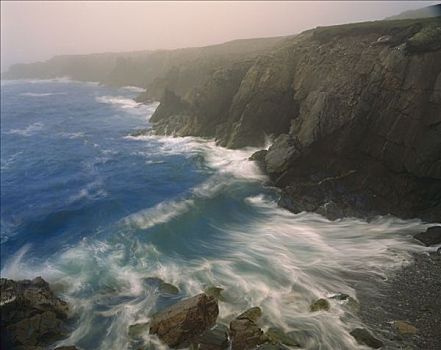 海岸线,雾,布雷顿角岛,新斯科舍省,加拿大