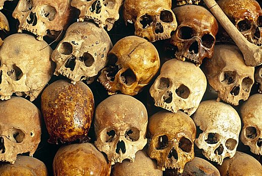人头骨,屠杀场,靠近,金边,柬埔寨