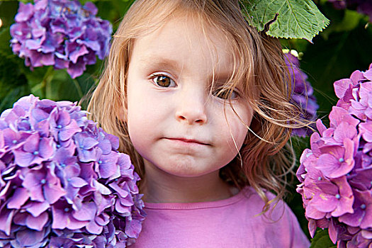 小女孩,围绕,八仙花属,花,头像