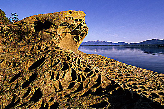 侵蚀,砂岩,苍鹭,石头,海湾群岛,不列颠哥伦比亚省,加拿大