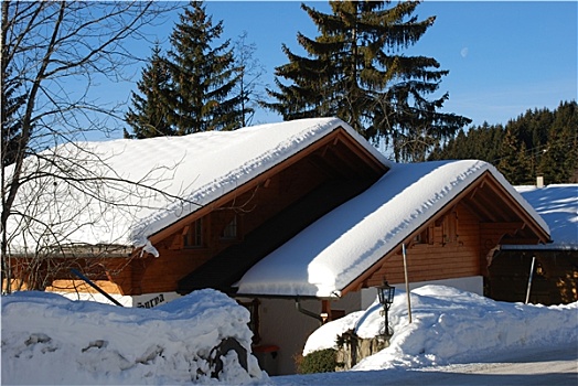 木房子,瑞士
