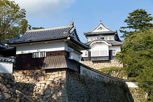 松山市,城堡