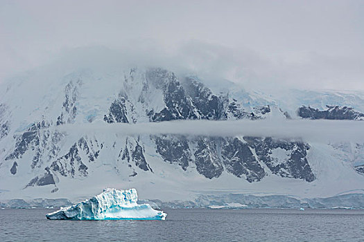 南极,海峡,冰山,正面,雪,山