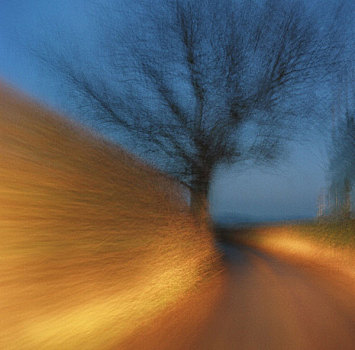 道路,一个,树,光亮,汽车,前灯,驾驶,什罗普郡