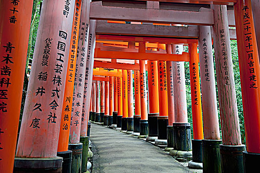 日本,红色,柱子,道路,京都