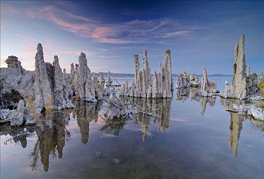 奇怪,岩石构造,莫诺湖,碱性湖,藤蔓,加利福尼亚,美国
