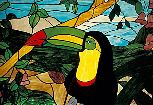 哥斯达黎加,巨嘴鸟,彩色玻璃