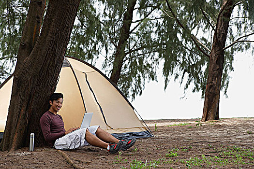 男人,树,拿着,笔记本电脑,露营,海滩