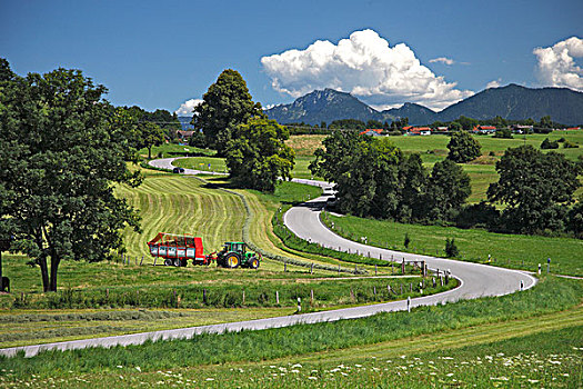 道路,农业,风景,夏天,湖,上巴伐利亚,巴伐利亚,德国,欧洲
