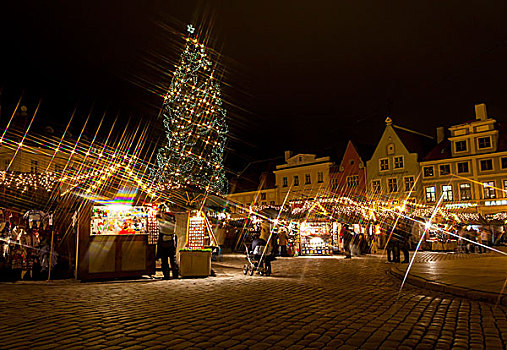 圣诞市场,冷杉,老城,塔林,爱沙尼亚