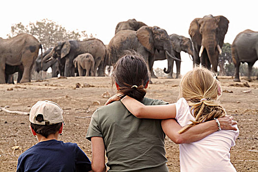 家庭,看,大象,水潭,露营,东察沃国家公园,肯尼亚