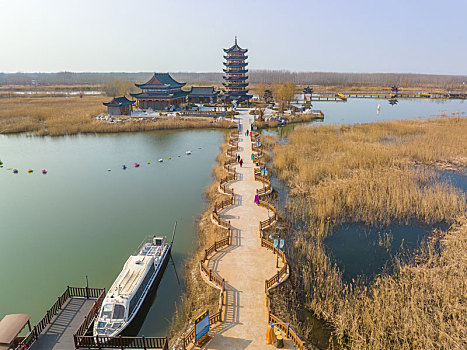 山东泰安东平湖风光