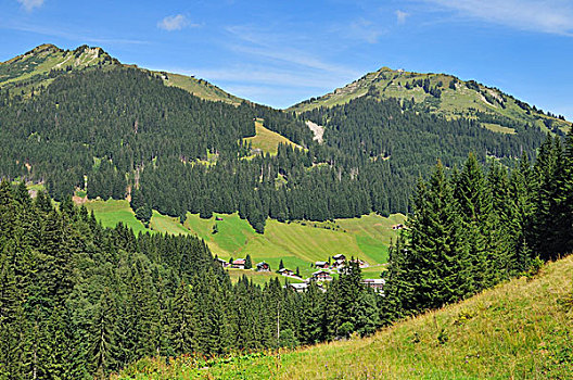 山谷,远眺,克莱恩瓦泽泰,小,阿尔卑斯山,奥地利,欧洲