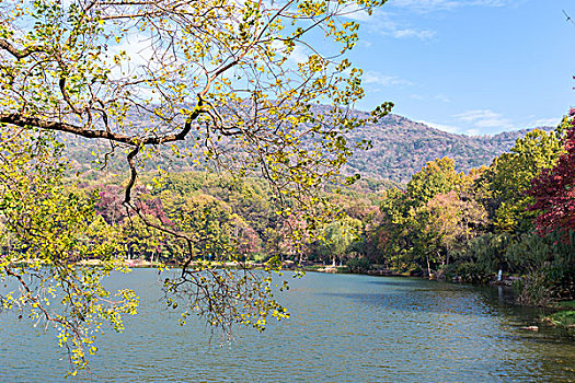 紫霞湖