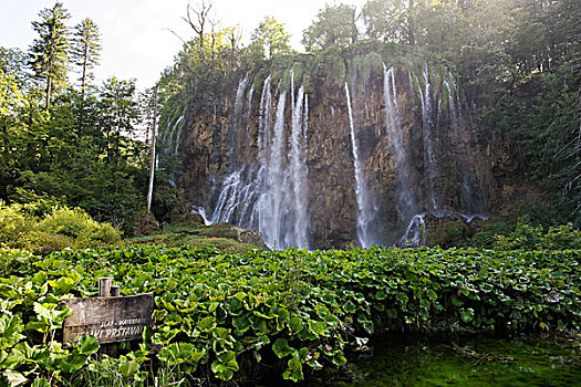 瀑布,普利特维察,湖,十六湖国家公园,克罗地亚,欧洲
