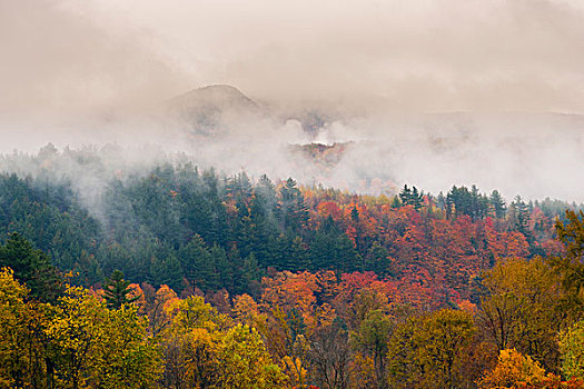 美国,佛蒙特州,秋天,风景