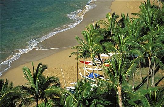 夏威夷,考艾岛,海滩,俯视,棕榈树