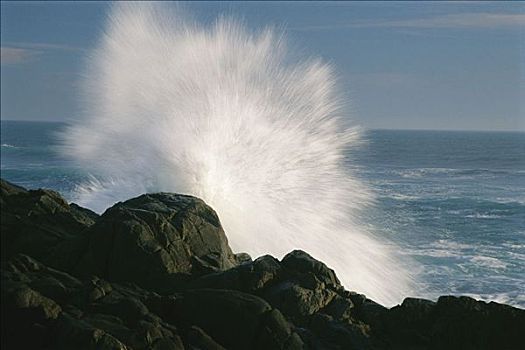 波浪,石头,西海岸,国家公园,北开普,南非