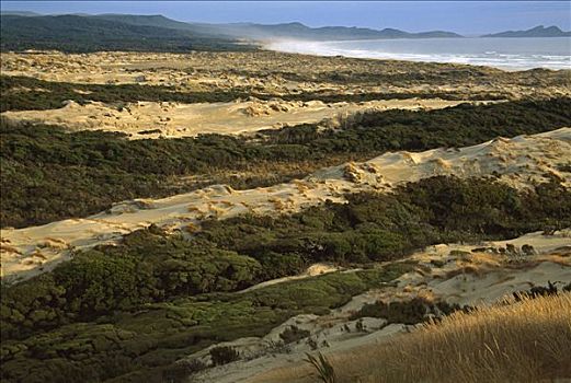 沙丘,国家公园,斯图尔特岛,新西兰