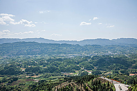 重庆巴南区猫山茶场