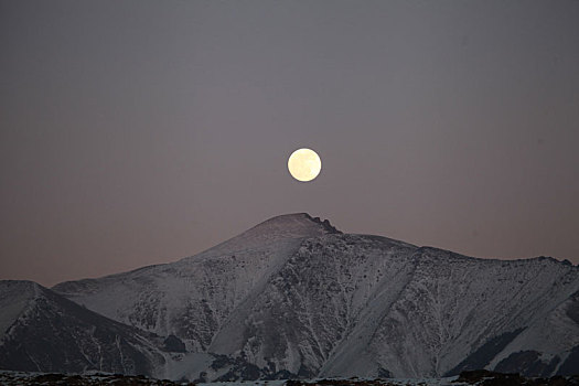 大寒风十五,明月出天山