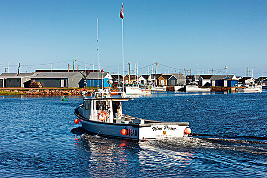 渔船,爱德华王子岛,加拿大