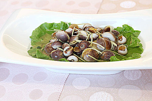 家常菜蜗牛