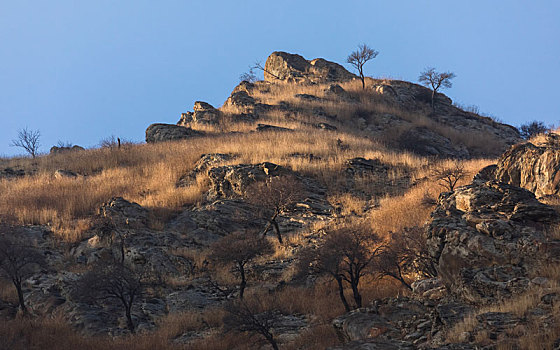 贺兰山风光,贺兰山国家自然保护区