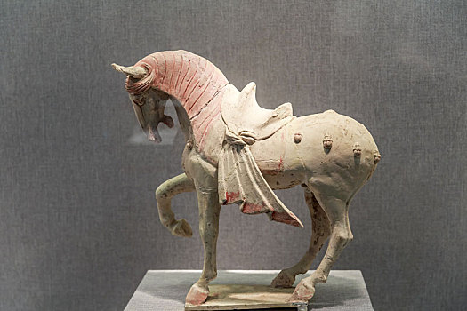 唐代抬腿陶马,河南省洛阳博物馆馆藏文物