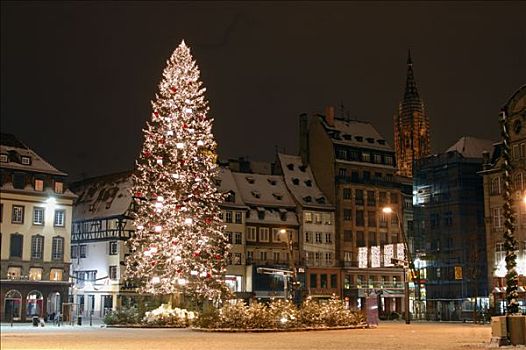 法国,阿尔萨斯,斯特拉斯堡,圣诞树