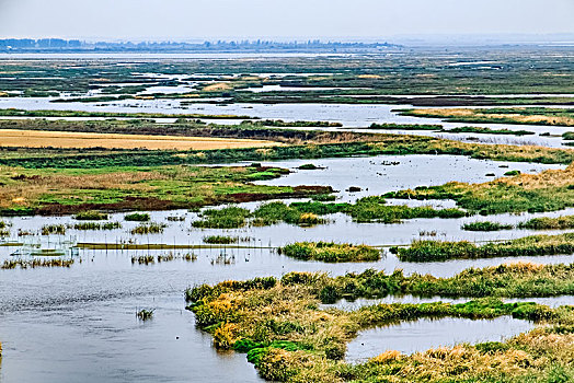 乌龙江湿地公园全景图图片