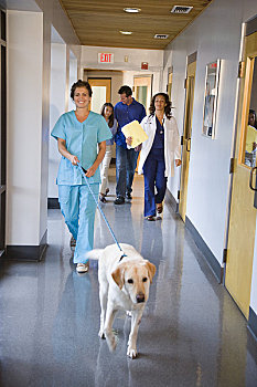 兽医,协助,走,狗,诊所,走廊,宠物主人,后面