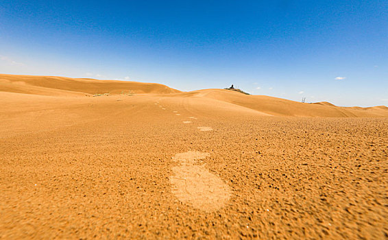 沙漠脚印