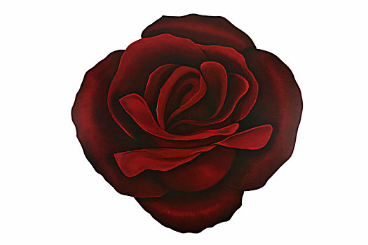 插画,玫瑰,红色,盛开,特写,俯视,绘画,艺术,植物,花,花瓣,自然,概念,漂亮,精美,气味
