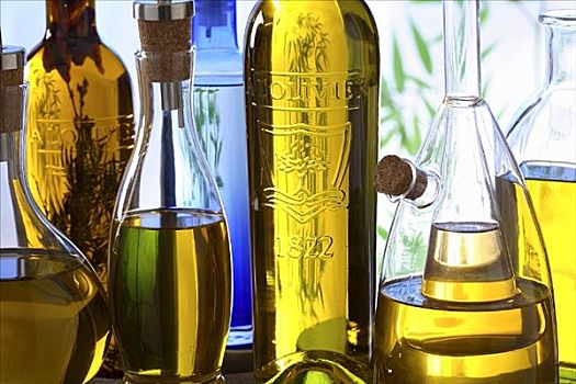 橄榄油,品种,瓶子