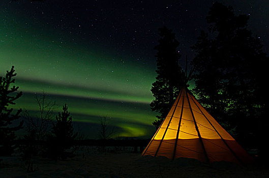 光亮,圆锥形帐篷,北极光,极光,绿色,靠近,育空地区,加拿大