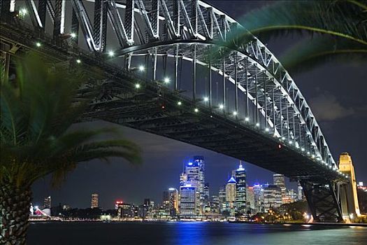 澳大利亚,新南威尔士,悉尼,棕榈树,排列,水岸,框架,悉尼海港大桥,天际线,中心